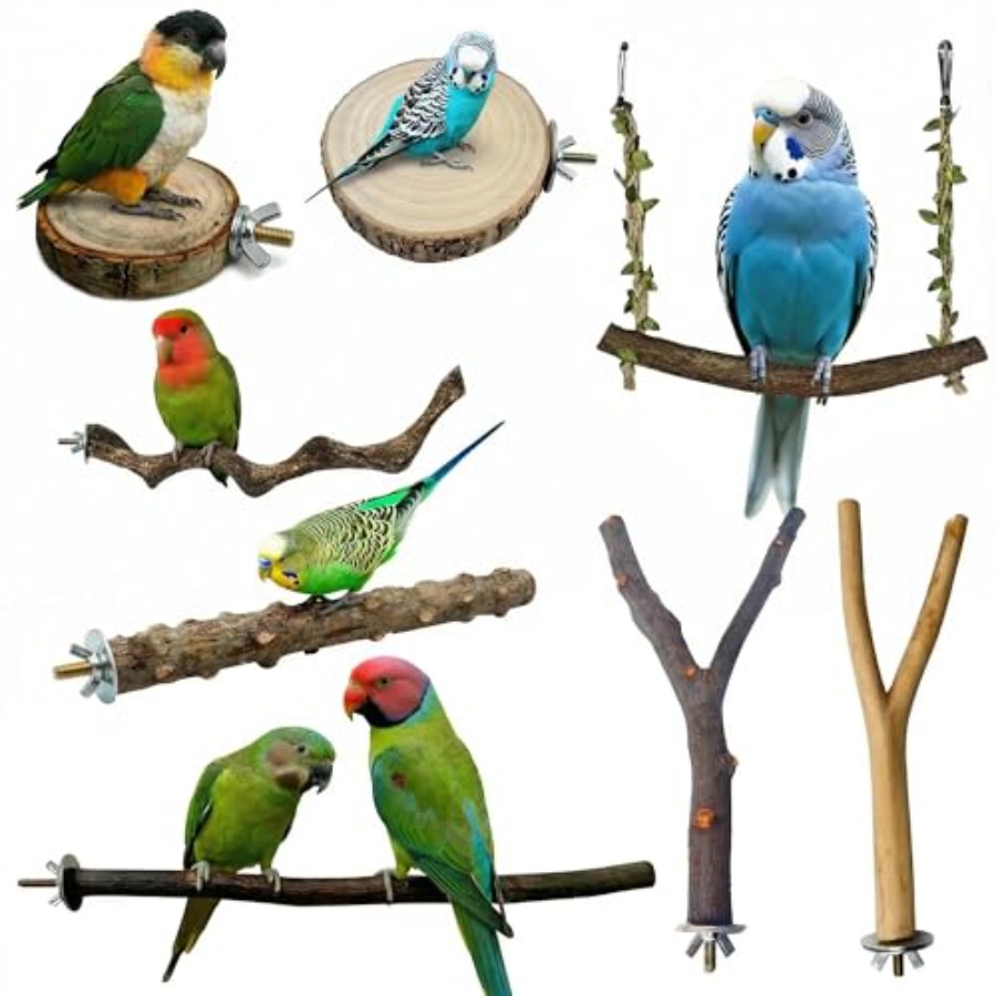 8 Stück Vogelsitzstangen aus N – Health & Wellness Website Bewertung und Preis