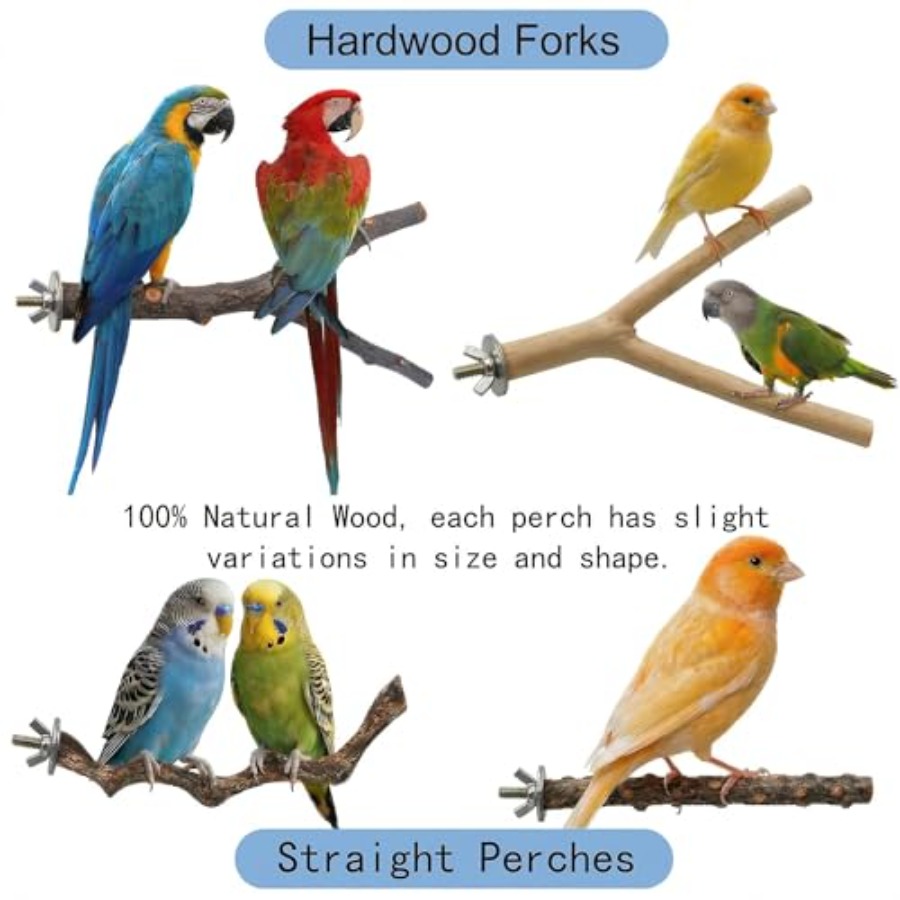 8 Stück Vogelsitzstangen aus N – Health & Wellness Website Bewertung und Preis